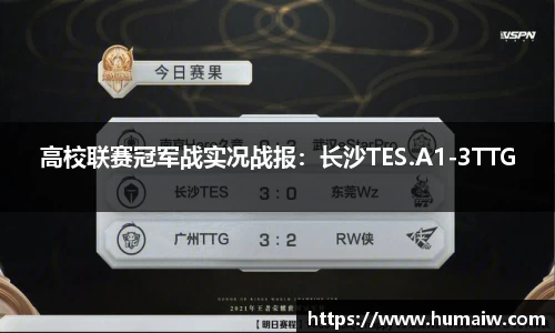 333体育平台