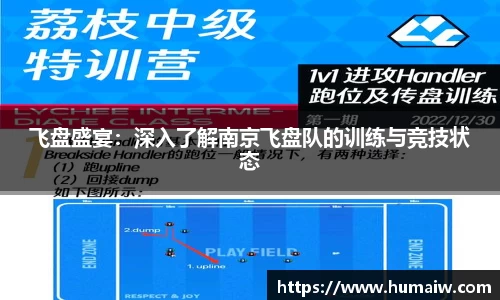 333体育官网