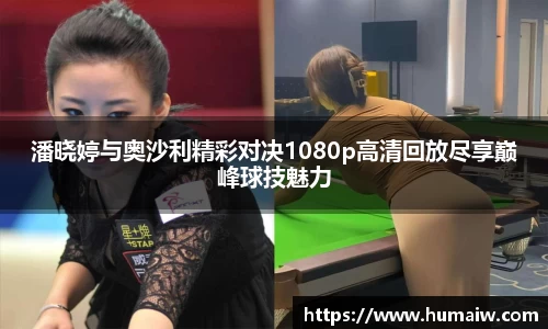 333体育app